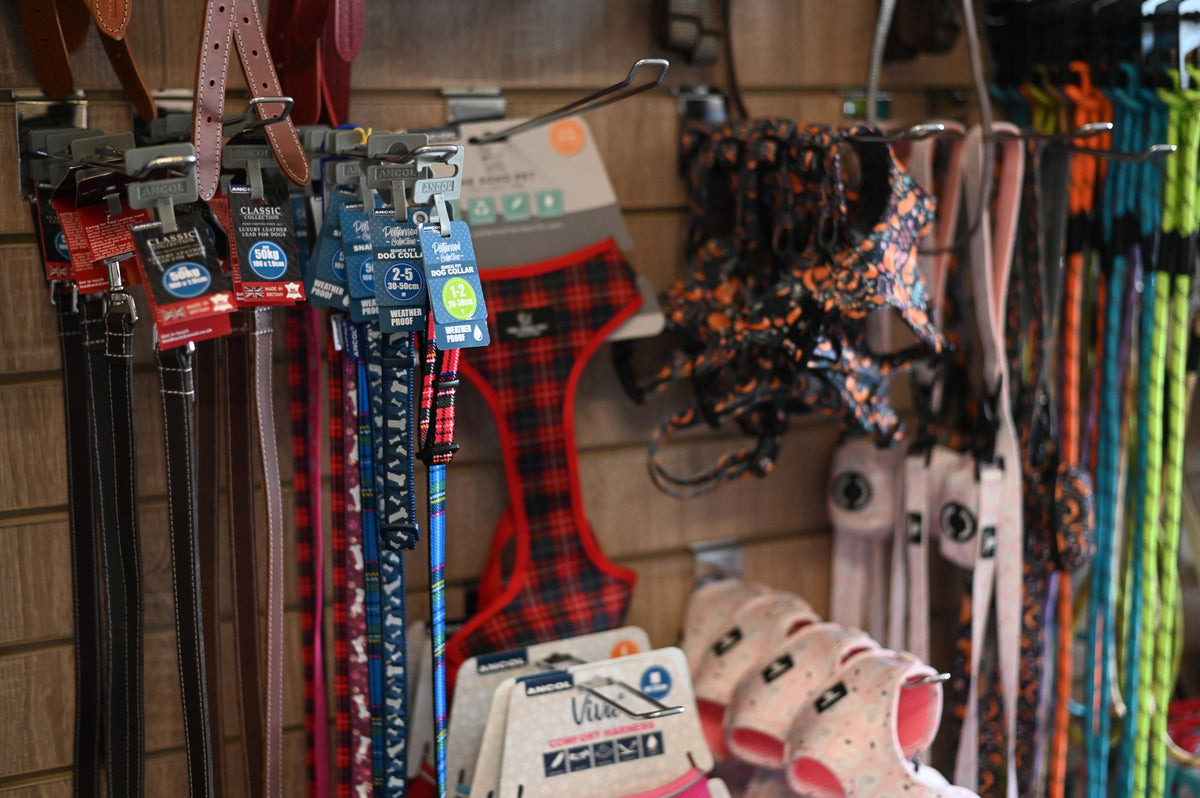 Toys & Accessories