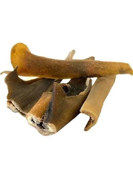 Camel Skin (Small)