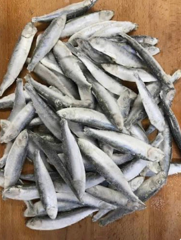 Frozen Sprats
