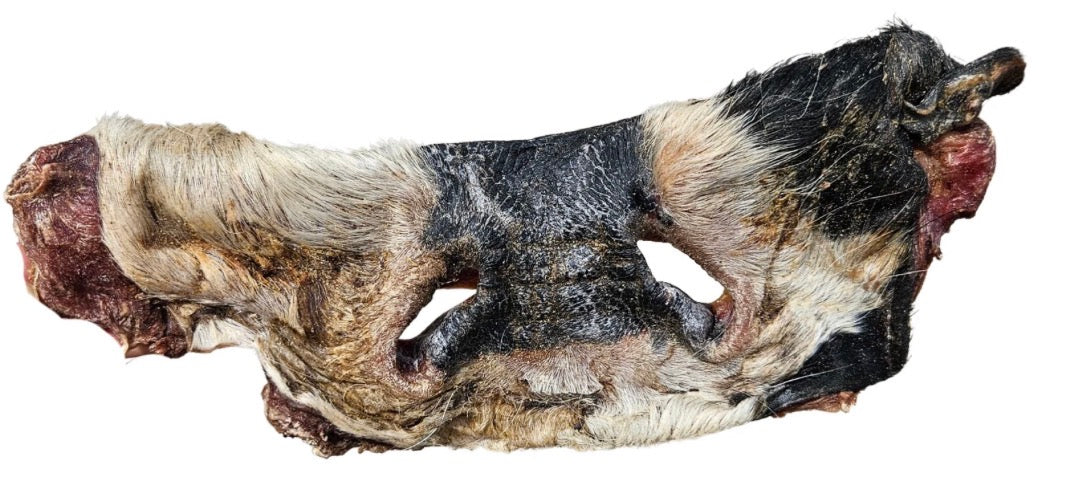 Beef Noses
