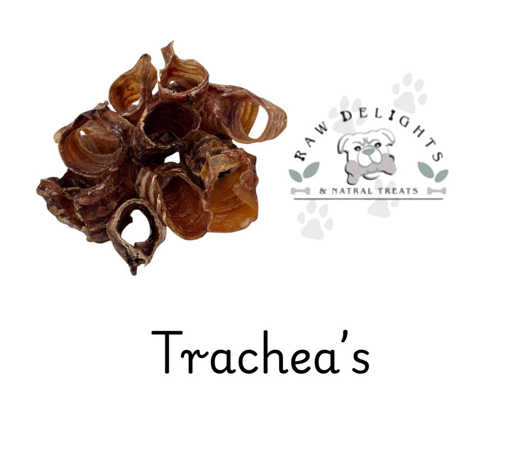Trachea Pieces