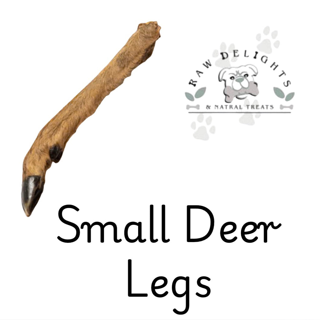 Roe Deer Leg (Small with Fur)