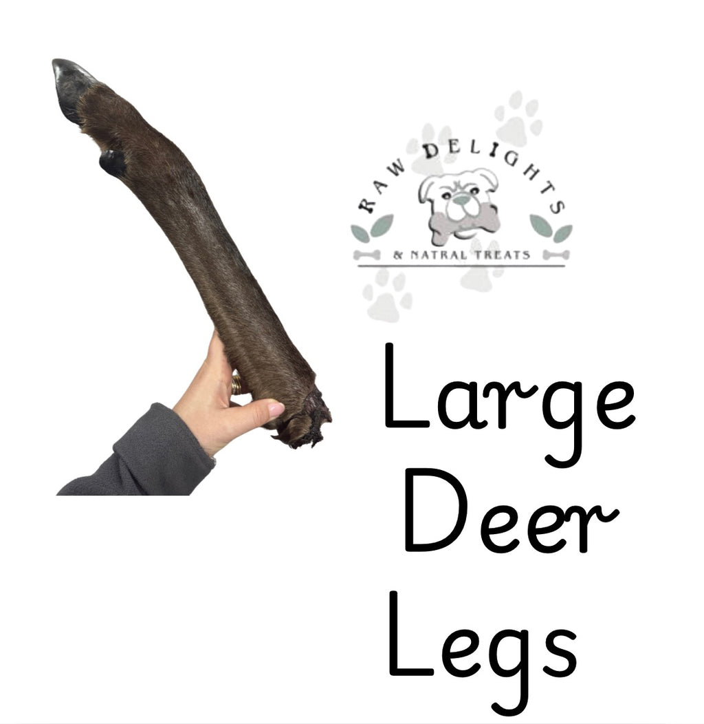 Large Venison (Deer) Legs