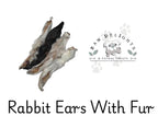 Rabbit Ears with Fur