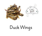 Duck Wings