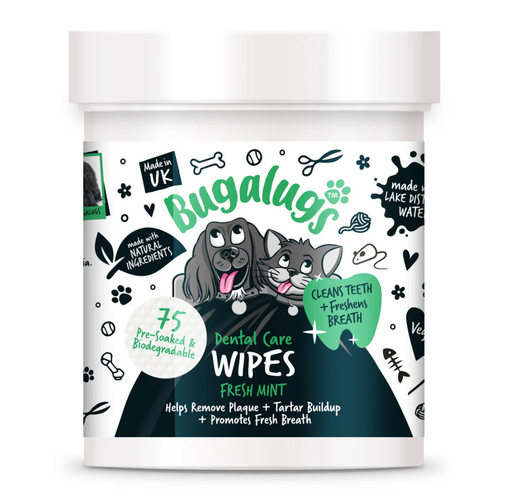 Dental Care Wipes in Fresh Mint