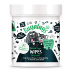 Dental Care Wipes in Fresh Mint