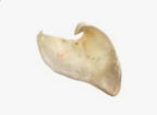 XXL Puffed Sow Ears