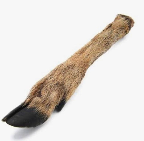 Roe Deer Leg (Small with Fur)