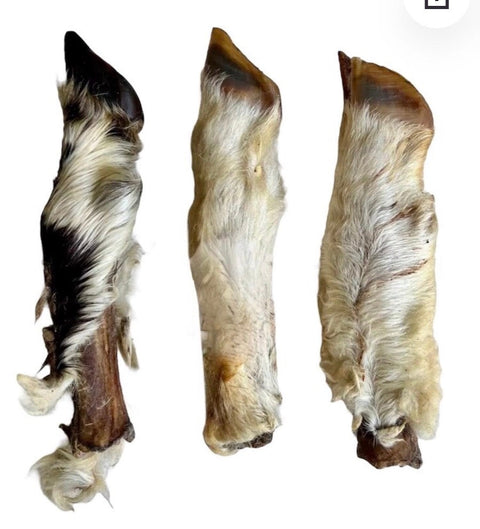 Hairy Lamb Legs
