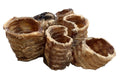 Trachea Pieces