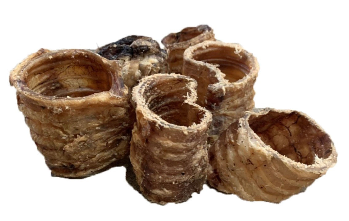 Trachea Pieces