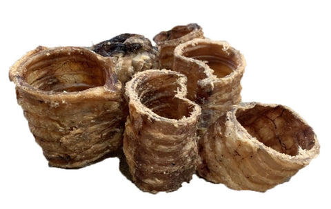 Trachea Pieces