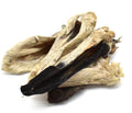 Hairy Lamb Ears