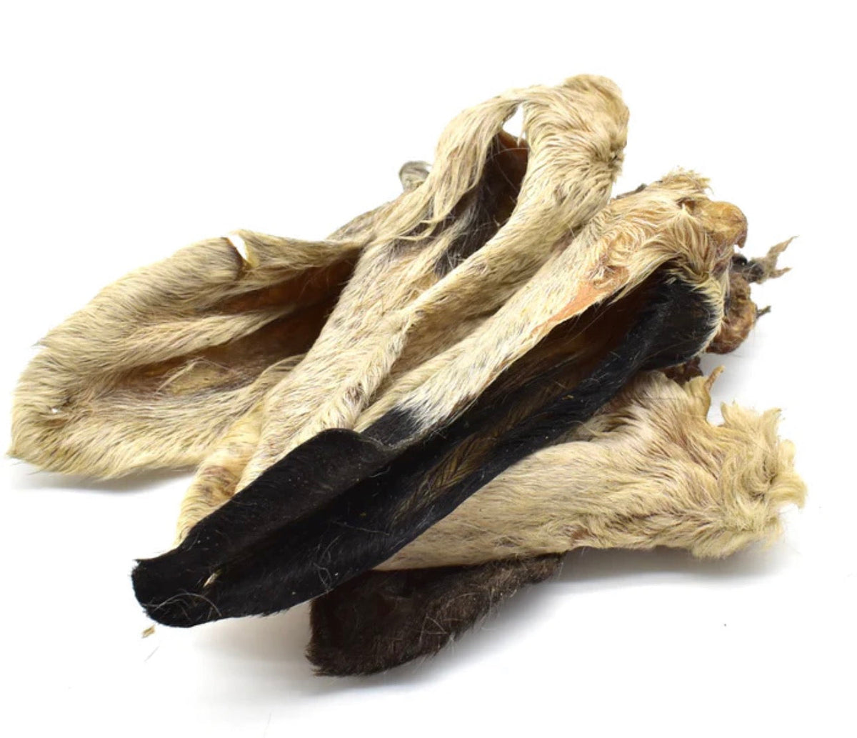 Hairy Lamb Ears