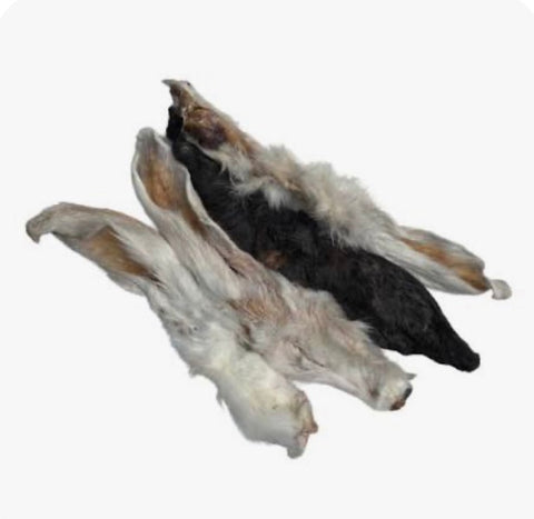 Rabbit Ears with Fur