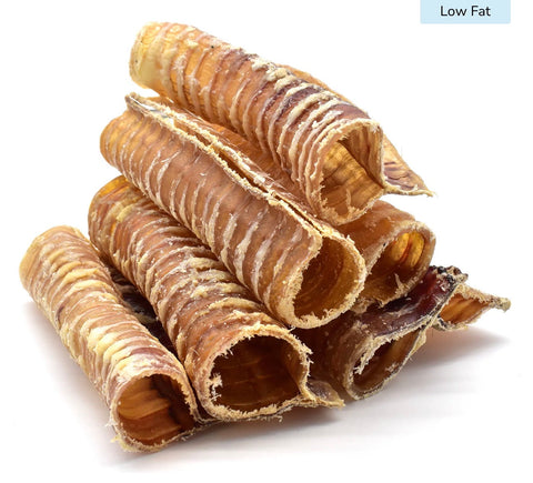 Trachea (Small)
